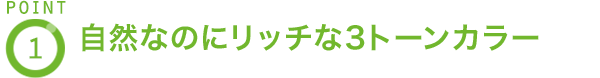 POINT1 自然なのにリッチな3トーンカラー